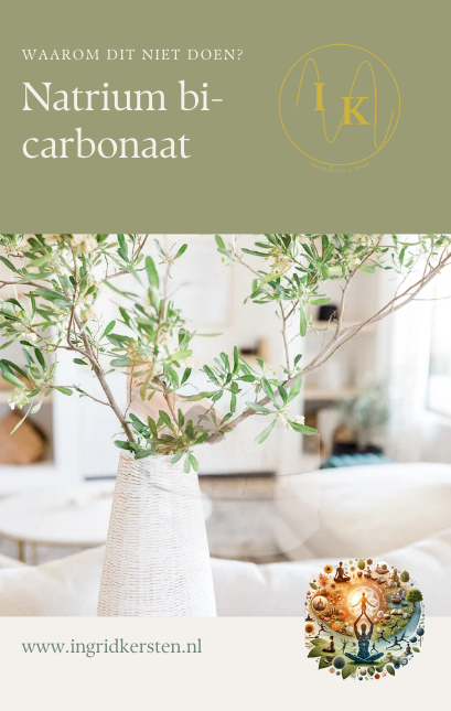 E-book: Natrium bicarbonaat