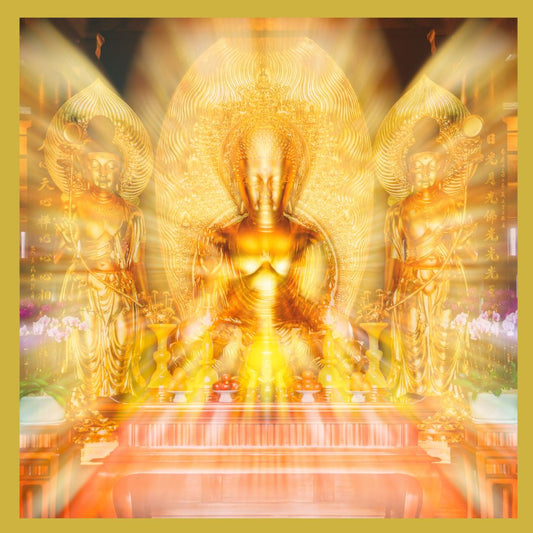 Enagic: emQuarde straling harmoniseren. Nu met Gratis BOEK