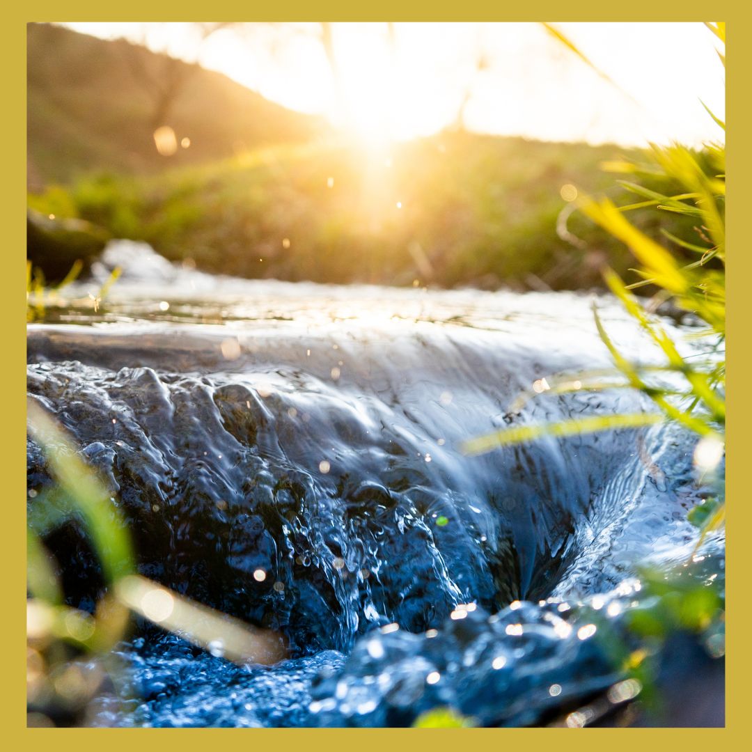 Artikel gratis : Water en gezondheid
